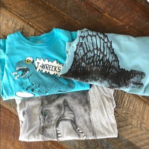 Carter’s Kid Dinosaur Long Sleeved Shirts Boys